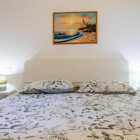 Palera 1 *